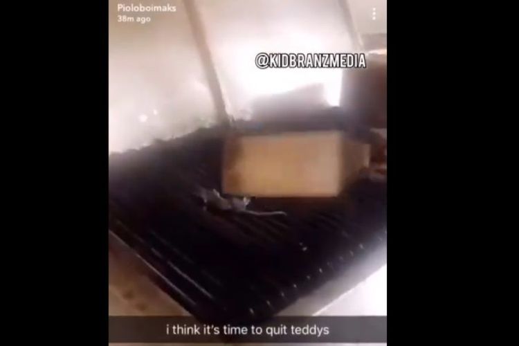 screenshoot-video-tikus-yang-dipanggang.jpg