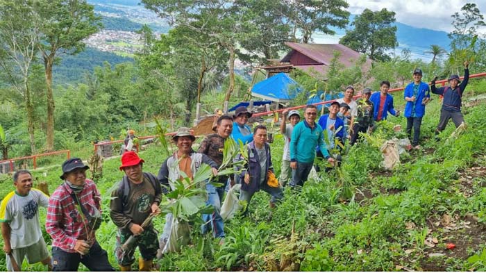 Senator Stefa dan Kelompok Tani Tanam 5 Ribu Bibit Pohon Kayu dan Buah di Gunung Tampusu