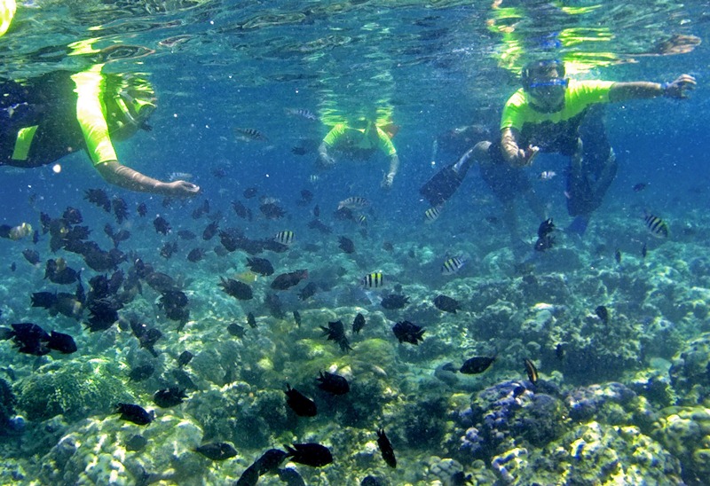 snorkeling-di-bunaken_20180327_205644.jpg
