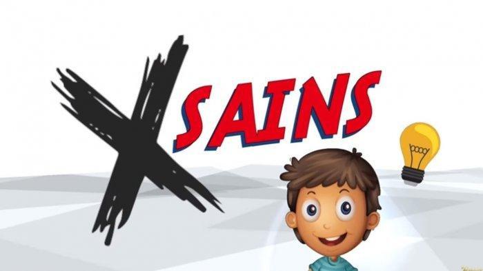 Jawaban Soal SD 1-3, Hitunglah dengan Menggunakan Bentuk Panjang!