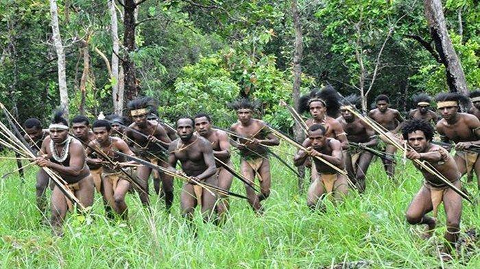 suku-kanibal-di-papua-445555.jpg