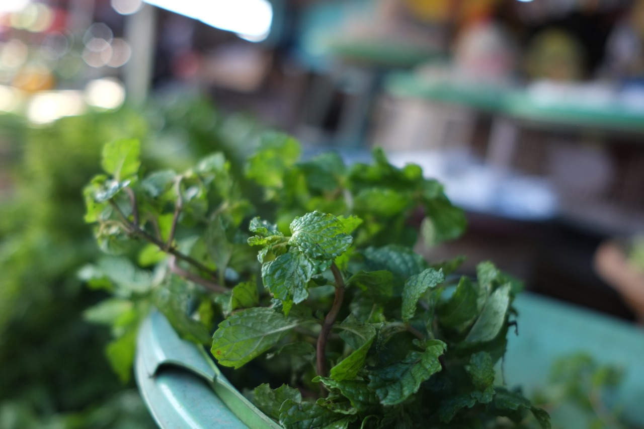 tanaman-mint-yang-dijualnya-di-pasar-bersehati-manado-sulawesi-utara-rabu-30620216.jpg