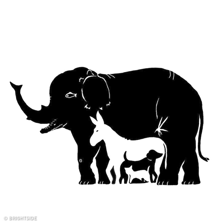 TES KEPRIBADIAN: Ada Berapa Banyak Hewan yang Bisa Kamu Lihat dalam Gambar Ini? Jawab Dengan Tepat!