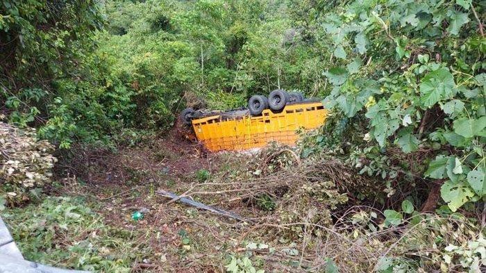 Nasib Sopir dan Anaknya Saat Truk Masuk Jurang, Tak Langsung Loncat dan Tetap Berusaha Kendalikan