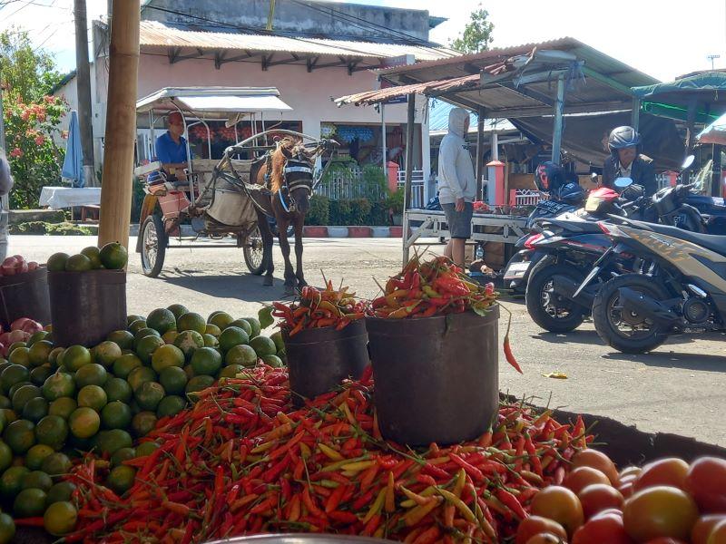 Harga Cabai Rawit Merangkak Naik di Pasar Airmadidi Minut Sulawesi Utara