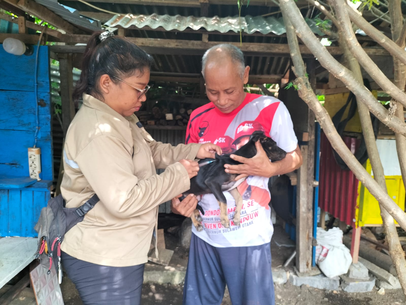 Ada 27 Kasus Gigitan di Kota Bitung, 17 Positif Rabies