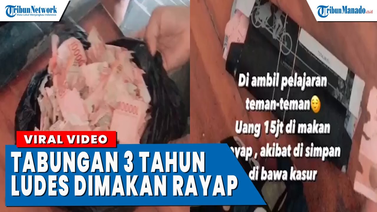 viral-3-tahun-simpan-duit-dibawah-kasur-ludes-dimakan-rayap-dfg.jpg