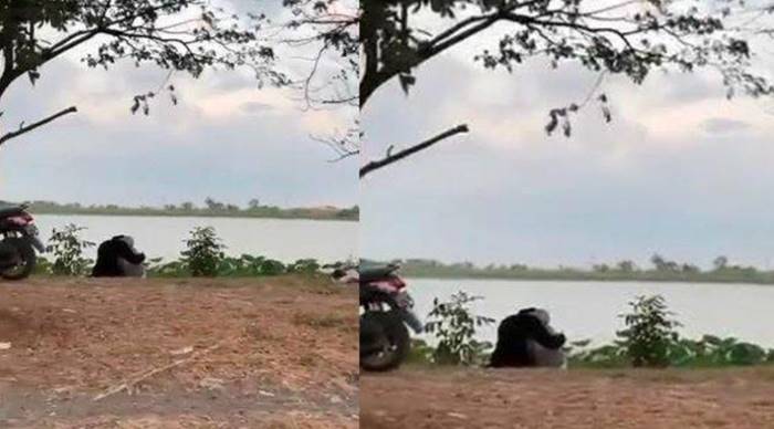 Viral Video Sejoli Berbuat Aksi Tak Pantas di Tempat Umum Waduk Bunder Gresik, Ditonton Ribuan Kali