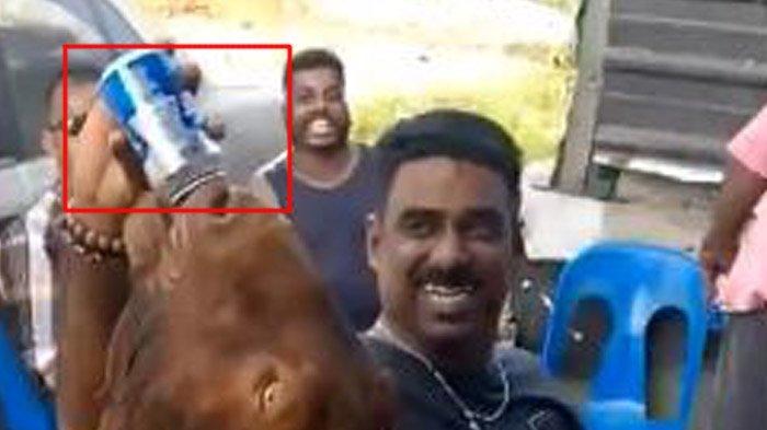 VIRAL Video Kambing Diberi Minum Bir oleh Sekelompok Pemuda hingga Mabuk, Asosiasi Hewan Geram