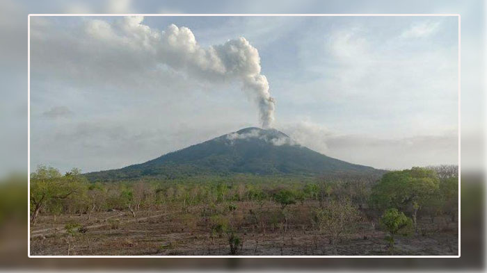 Ada 5 Anak Yang Dilaporkan Hilang, Diduga Lari ke Hutan Saat Terjadi Letusan Gunung Ile Lewotolok