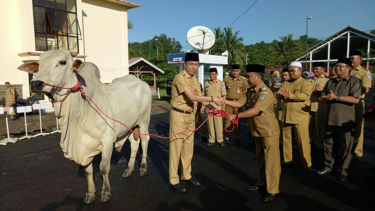 wabup-iskandar-kamaru-menyerahkan-hewan-kurban_20180819_190313.jpg