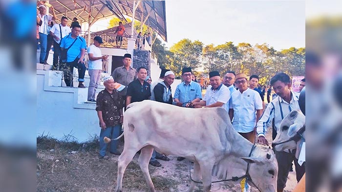 wakil-wali-kota-manado-mor-d-bastiaan-menyalurkan-hewan-kurban.jpg