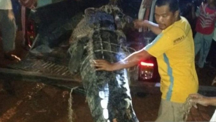 warga-tangkap-buaya-yang-diduga-memangsa-seorang-warga.jpg