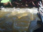1000-liter-cap-tikus_20180721_173642.jpg
