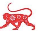 220324-monyet1.jpg