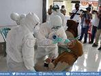 244-hasil-swab-test-asn-dan-thl-kotamobagu-sudah-keluar-2-di-antaranya-positif-covid-19.jpg