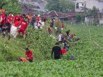 400-orang-keroyokan-angkat-eceng-gondok-di-danau-tondano.jpg