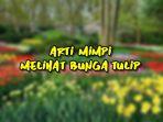 Arti-Mimpi-Melihat-Bunga-Tulip.jpg