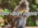 Arti-Mimpi-Monyet-7956.jpg