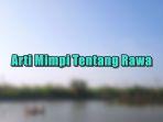 Arti-Mimpi-Tentang-Rawa.jpg