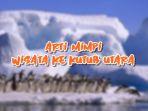 Arti-Mimpi-Wisata-ke-Kutub-Utara.jpg