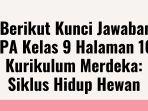 Belajar-Siklus-Hidup-Hewan-Berikut-Kunci-Jawaban-IPA-Kelas.jpg