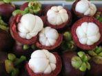 Buah-Manggis-Arti-Mimpi-Tentang-Buah-Manggis.jpg