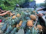 Buah-Nanas-yang-dijual-di-Jalan-Ringroad-Manado-Sulawesi-Utara5454.jpg