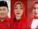 Caleg-DPRD-Provinsi-Sulawesi-Utara-Dapil-Bolmong-Raya-dari-PDIPLKO.jpg