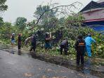 Cuaca-ekstrem-mengakibatkan-1-pohon-yang-ada-di-Jalan-Pumorow-tumbang.jpg
