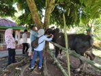 Distankan-Kota-Kotamobagu-saat-memeriksa-kondisi-sapi-milik-warga.jpg