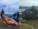 Fakta-fakta-Baru-Kecelakaan-Pesawat-Sam-Air-di-Gorontalo.jpg