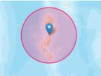 Gempa-terkini-di-Melonguane-Sulawesi-Utara-Sulut-Kamis-782025-siang.jpg