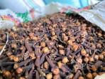 HARGA-CENGKIH-Potret-Cengkih-di-Gudang-Penampungagfjghjg.jpg