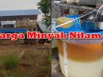 HARGA-MINYAK-NILAM-Info-harga-hjhgjghj.jpg