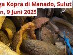 Harga-Kopra-di-Manado-Sulut-Senin-9-Juni-2025-Harga-jualnya-jadi-segini-sekarang-Tribun-Manado.jpg