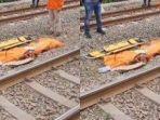 Ilustrasi-kecelakaan-tertabrak-kereta-api.jpg