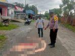 Insiden-kecelakaan-yang-melibatkan-dua-sepeda-motor-terjadi-di-Jalan-Raya-Desa-Siuna.jpg