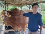 Joko-Sugianto-bersama-sapi-limosin-miliknya-di-kandang-Desa-Mapanget.jpg