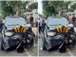 Kapolsek-Arjasa-Polres-Situbondo-tewas-kecelakaan-tabrak-pohon.jpg