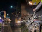 Kecelakaan-lalu-lintas-motor-dengan-mobil-di-Desa-Kelubi-Senin-4122023.jpg