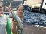 Kecelakaan-truk-pengangkut-ikan-buat-Ibu-ibu-senang-diberi-lauk-gratis.jpg