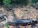 Kondisi-sepeda-BMX-yang-ditunggangi-korban-di-Jalan-Perkebunan-Gunung-Gambir-Jember.jpg