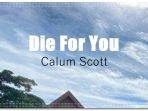 Lirik-Lagu-Die-For-You-Calum-Scott.jpg