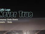 Lirik-Lagu-Never-True-Dinda-Ghania.jpg
