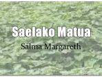 Lirik-Lagu-Saelako-Matua-Salma-Margareth.jpg