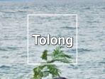 Lirik-Lagu-Tolong-Pace-Kribo.jpg
