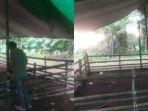 Lokasi-judi-sabung-ayam-yang-diungkap-Polres-Minut-Sulut.jpg