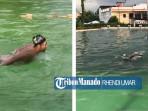 PEDULI-Kolam-Renang-KONI-Sulawesi-Utara-Jalan-Ahmad-Yanii90.jpg