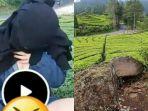 Perkebunan-Teh-Rancabali-Kabupaten-Bandung-yang-diduga-dijadikan-tempat-tak-senonoh.jpg